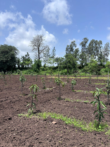 Photo from customer review