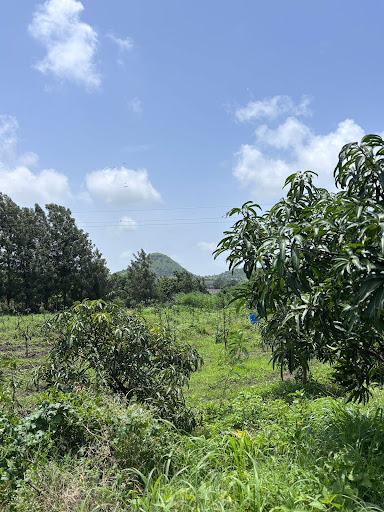 Photo from customer review