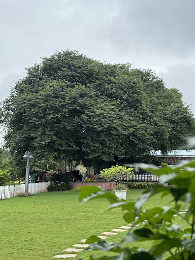 Photo from customer review