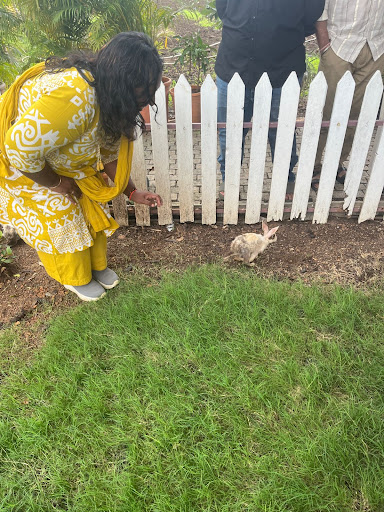 Photo from customer review