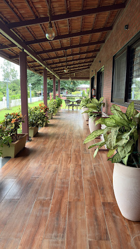 Photo from customer review