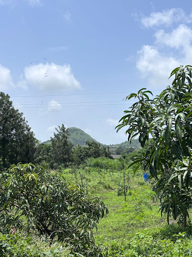 Photo from customer review