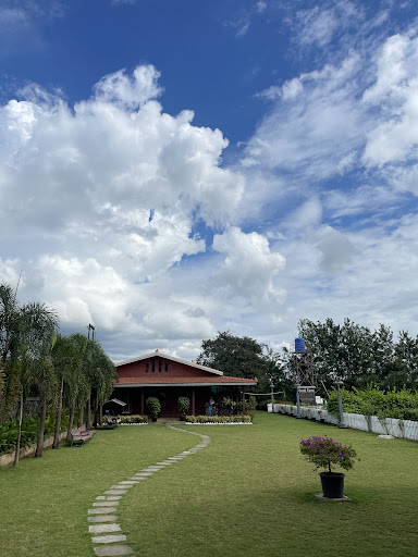 Photo from customer review