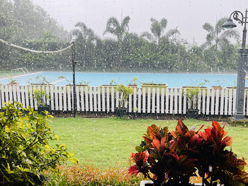 Photo from customer review