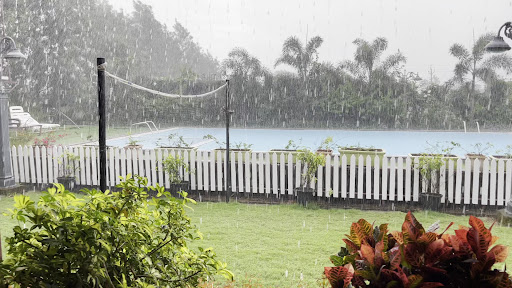 Photo from customer review