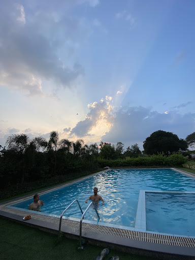 Photo from customer review