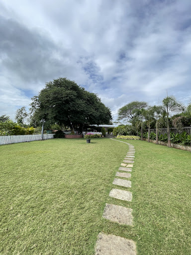 Photo from customer review