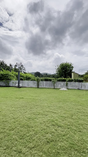 Photo from customer review