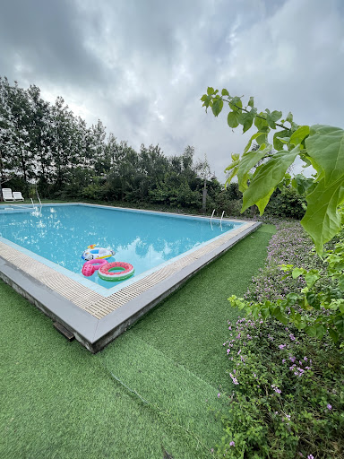 Photo from customer review