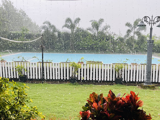 Photo from customer review