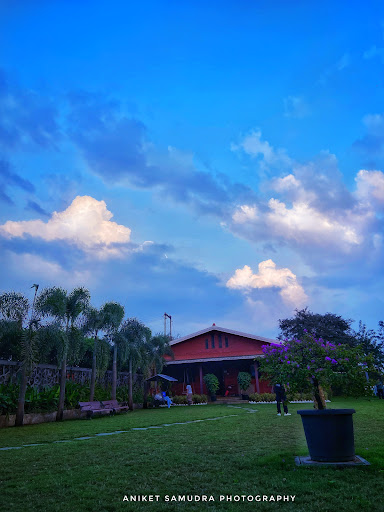 Photo from customer review